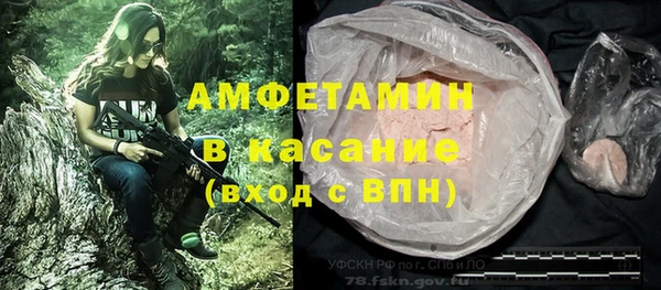 ГАЛЛЮЦИНОГЕННЫЕ ГРИБЫ Алексин