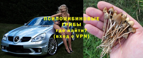 спайс Абдулино