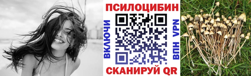 Галлюциногенные грибы Magic Shrooms  hydra ONION  Тотьма  как найти  